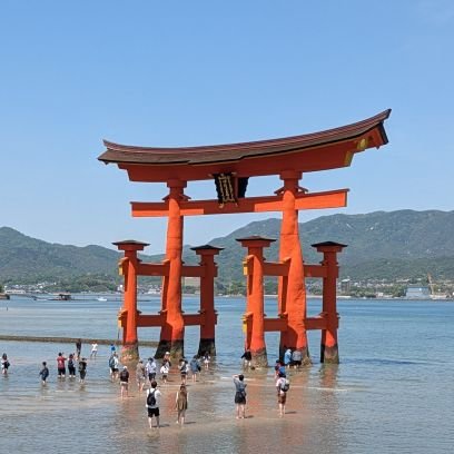 競馬、パチンコが少し好きなおじさん。
野球は阪神です。多分にわかファンでは無いと思います。
イロイロ思う事を呟いてみます。
MBTI診断は建築家です。