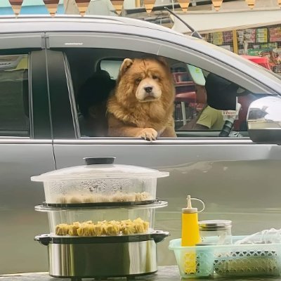 Kolomc245506's profile picture. 🥳😍☺️