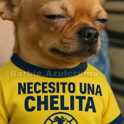 nuestra antigua cuenta parejaecaterror fue suspendida... nuestros antiguos seguidores ya nos conocen
