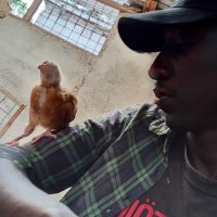 Zilani. (@254quantum) 's Twitter Profile Photo Zilani. (@254quantum) 's Twitter Profile Photo