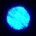 Blue (@bluefirewolf246) Twitter profile photo Blue (@bluefirewolf246) Twitter profile photo