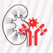ImunoNefrologia (@imunonefrologia) 's Twitter Profile Photo