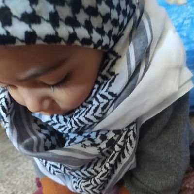 rushdi mohammed Profile