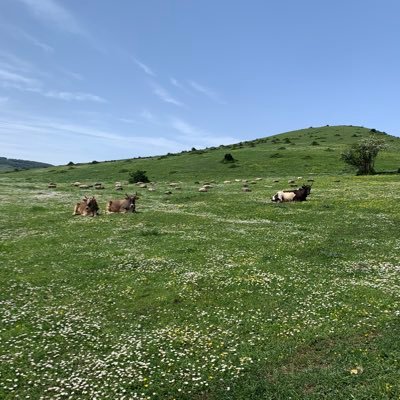 newway6586's profile picture. «امنیت،سیاست،اقتصاد»از مسیر تاریخ