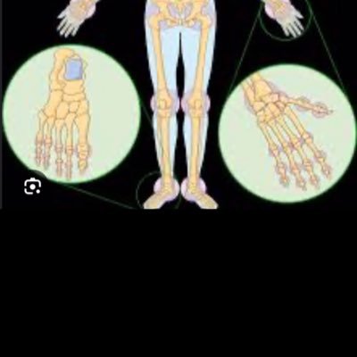 _Joints's profile picture. @_Chromosomes,