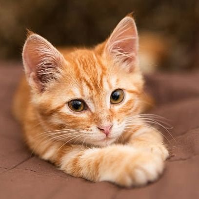 Kingka25_'s profile picture. 