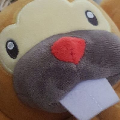 Kashiさんのプロフィール画像