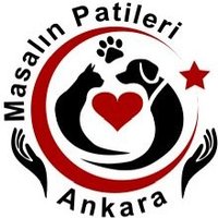 Songül Öztürk (@songlztrk162841) Twitter profile photo