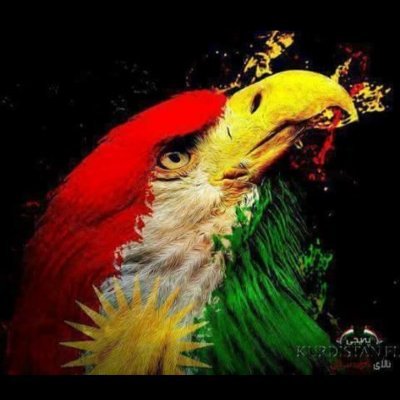 2+2=1
❤️🔅💚
Anyone who has animosity towards the Kurds should think twice
#USK: United States of Kurdistan
learn it. repeat it