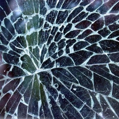 jmylh323304's profile picture. 