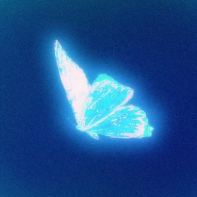 Cpt. of project: butter_Fly — Mod for Bay Area DigiCa Server — Main Card Games: Vanguard, DigiCa, Magic — Presented by: Avalon Accessories