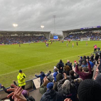 pintofsalopgold's profile picture. 