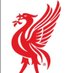 MyLifeIsLiverpool#77 (@myliverpool77) Twitter profile photo MyLifeIsLiverpool#77 (@myliverpool77) Twitter profile photo