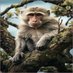 Pablo Amador Benitez (@amadorpabl52078) Twitter profile photo