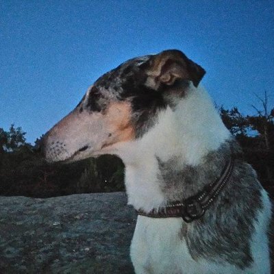 Yulquened's profile picture. 