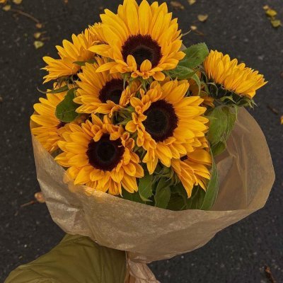 SweetRewinders's profile picture. Exploring love with quiet grace and enduring elegance. Thoughts on refined romance, cherished traditions, and the luxury of true connection. ✨
