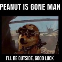Squirrel (@squirrel4peanut) 's Twitter Profile