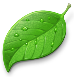 NatGreeneVeg's profile picture. 2,300 sq ft public organic vegetable garden turned inspirational potager (kitchen garden). heirlooms, vertical structures, naturally grown, sustainable,