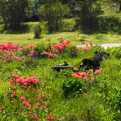 baaemond's profile picture. 