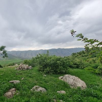 Sherzad17148818's profile picture. 