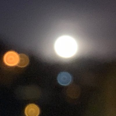 yonezyb's profile picture. 30岁，在polymarket赌博