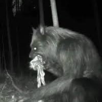 wdunnhaven's profile picture. 