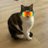 Peque's avatar