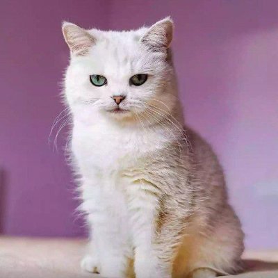 ryesobm's profile picture. 