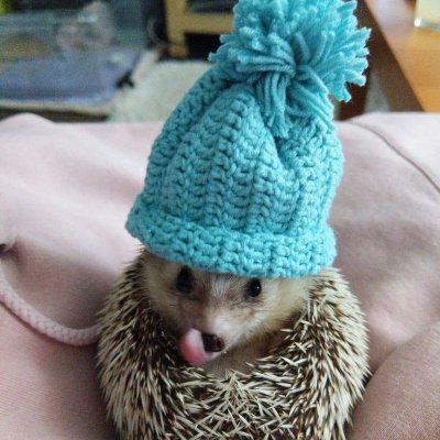 AlyssaStan16739's profile picture. Age 18 autistic and a Christian ✝️ pronouns she/her sexuality straight LGBTQ 🏳️‍🌈 supporter