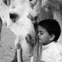 ِ (@imutiry) 's Twitter Profile