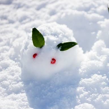 Winter_0509's profile picture. 妄想垢です。nmmn注意。💚❤️の書き手です。ヲタクツイートはヲタ垢から！ヲタ垢▷▶︎@winter__0122 気軽に絡んでください♪