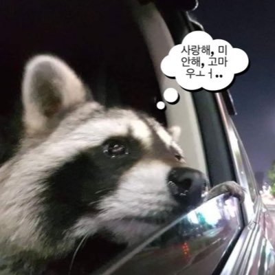 Hyorilover_29's profile picture. ㅎㄹㅅㄹㅎ