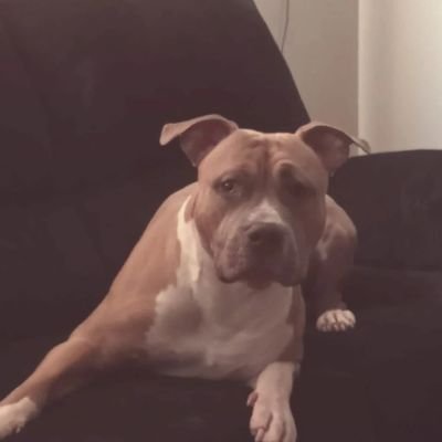 Smdsenior's profile picture. single