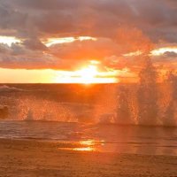 Harris Rubinroit (@hcrubin2009) 's Twitter Profile Photo