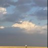 Mariam_ARU's profile picture. رَّبِّ ارْحَمْهُمَا كَمَا رَبَّيَانِي صَغِيرًا