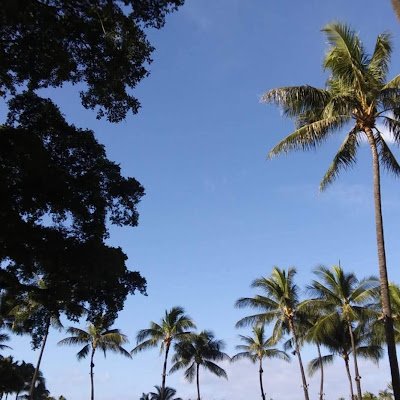 1966_kumasan's profile picture. 