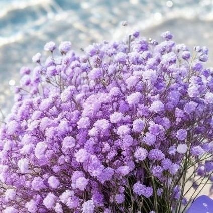 mist__111's profile picture. 