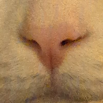 JPLoewen22's profile picture. “There can be no keener revelation of a society’s soul than the way in which it treats its children.”   — Nelson Mandela