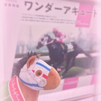 ほろ (@_h0liy) 's Twitter Profile
