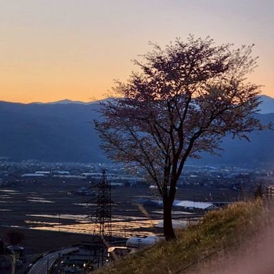 sakana0515mksk's profile picture. 以前の携帯が壊れた。
以前のXのパスワード忘れてログイン出来なくなりました。
なので新しく作り直し😿
今まで通りの私です。
犬猫から私生活まで何でも呟きます。
どうぞよろしくね。