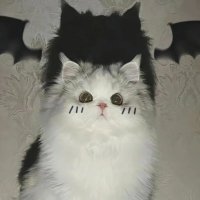 優しい風 (@geriannach14600) Twitter profile photo