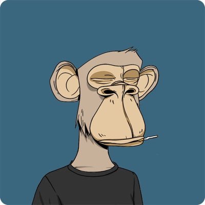 SQUIDDY {โ,๐ฎ} Profile