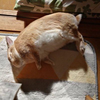 realdasha98's profile picture. 