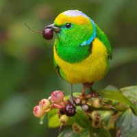 Md nabir uddin(🍊,💊) (@nabiruddin56) 's Twitter Profile Photo Md nabir uddin(🍊,💊) (@nabiruddin56) 's Twitter Profile Photo