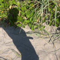 Logan π (@logant1010) 's Twitter Profile