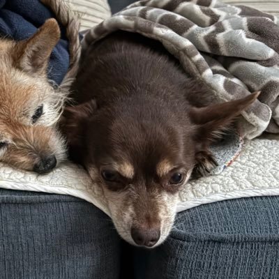 BarbaraD95856's profile picture. 