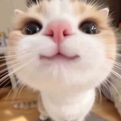 M_n_mB's profile picture. 0, 1, 2, 9, 44, 265, 1854, 
14833, 133496, 1334961,  14684570, 176214841, 2290792932, 32071101049, 481066515734, 7697064251745, 130850092279664,⋯