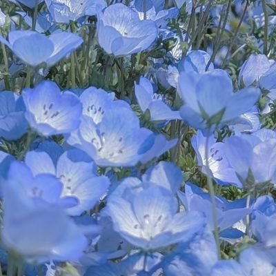 あさひさんのプロフィール画像