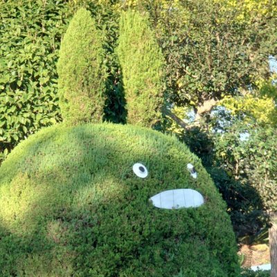 東野春さんのプロフィール画像