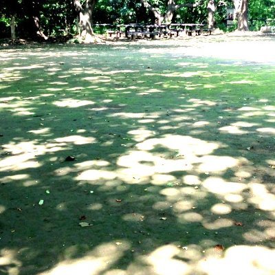 🎸Moon In June【@mooninjunetyo】/ 🎸loulou parasom【@LoulouParasom】/ (ex. suya suya junction)